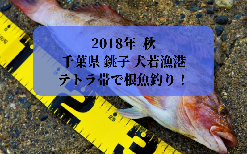 千葉県 銚子 犬若漁港 テトラ帯でルアー釣り シアターカミカゼ