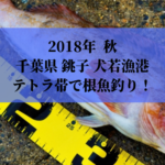 千葉県 銚子 《犬若漁港》テトラ帯でルアー釣り！