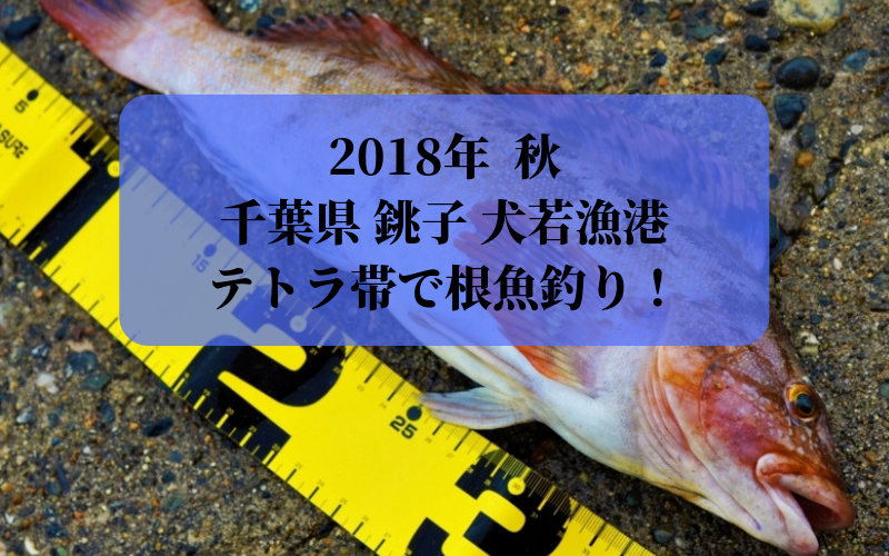 千葉県 銚子 《犬若漁港》テトラ帯でルアー釣り！
