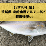【実釣レポート】アジ・イナダ・ショゴなどの青物で賑わうと噂の波崎漁港でルアー釣り