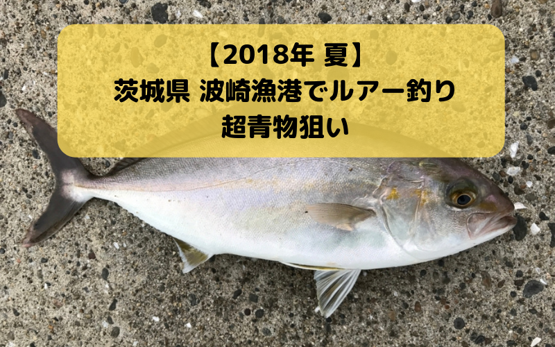 【実釣レポート】アジ・イナダ・ショゴなどの青物で賑わうと噂の波崎漁港でルアー釣り