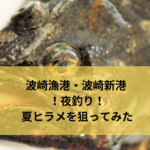 【2018年8月】波崎漁港・波崎新港 夜釣りで夏ヒラメを狙う