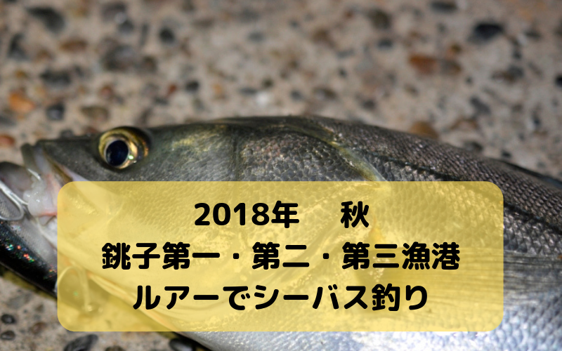 18年10月 銚子 第一 第二 第三漁港でルアー釣行 ヒラメ シーバス狙いで夜釣り シアターカミカゼ