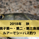 【2018年10月】銚子 第一・第二・第三漁港でルアー釣行 ヒラメ・シーバス狙いで夜釣り