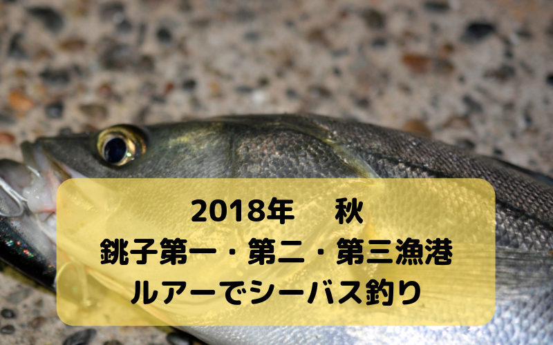 【2018年10月】銚子 第一・第二・第三漁港でルアー釣行 ヒラメ・シーバス狙いで夜釣り