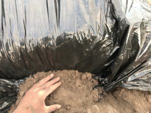 【オーストラリア ファームジョブ】地獄のような大変さファームハンドジョブまとめ