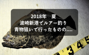 《波崎漁港・新港》夜釣り シーバス ヒラメ カンパチ狙いで一晩中ルアーをぶん回した結果
