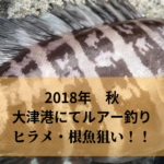 《大津港》にて夜釣り ヒラメ 根魚（メバル カサゴ クロソイ狙い）！