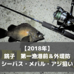 《銚子第一漁港前＆外堤防》でルアー釣り シーバス メバル アジ狙い！