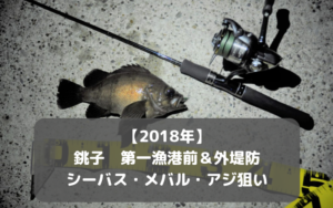 《銚子第一漁港前＆外堤防》でルアー釣り シーバス メバル アジ狙い！