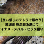 《鹿島新港・鹿島灘漁港》夜釣り アイナメ・メバル・シーバス・ヒラメ狙い！
