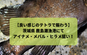 《鹿島新港・鹿島灘漁港》夜釣り アイナメ・メバル・シーバス・ヒラメ狙い！