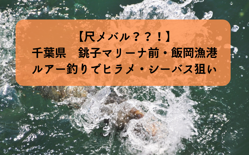 尺メバル 18年 冬 銚子マリーナ前 飯岡漁港で釣り シーバス ヒラメ メバル アイナメ狙い シアターカミカゼ