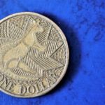 【何種類あるの?】オーストラリアの1ドルコインの種類が半端なく多かったので集めてみた