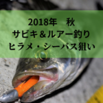 《平潟漁港》サビキ釣り！アジ・サバ  ルアーでヒラメ・シーバス狙い