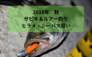 《平潟漁港》サビキ釣り！アジ・サバ  ルアーでヒラメ・シーバス狙い
