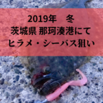 アジ イワシで群れていると噂の《那珂湊港》で釣り ヒラメ・シーバス狙い!