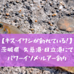 【キス・イワシが釣れてる】久慈港・日立港で釣り ヒラメ・シーバス・カンパチ狙い