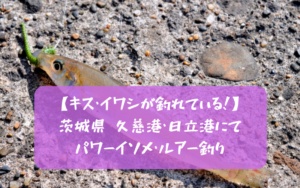 【キス・イワシが釣れてる】久慈港・日立港で釣り ヒラメ・シーバス・カンパチ狙い