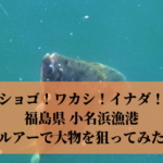 福島県《小名浜漁港》で釣り ルアーで大物 ヒラメ シーバス狙い！