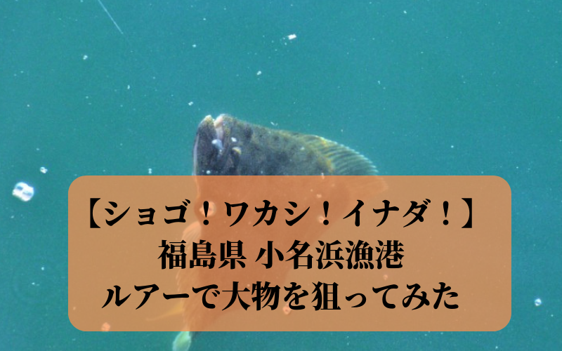 福島県《小名浜漁港》で釣り ルアーで大物 ヒラメ シーバス狙い！