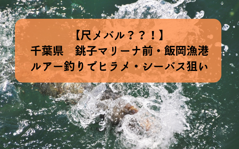 【尺メバル？！】2018年 冬  銚子マリーナ前・飯岡漁港で釣り シーバス・ヒラメ・メバル・アイナメ狙い