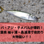 サバ アジ 小メバルが爆釣？ 千葉県 《袖ヶ浦港・長浦港》で夜釣り