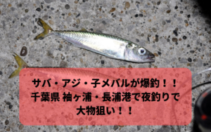 サバ アジ 小メバルが爆釣？ 千葉県 《袖ヶ浦港・長浦港》で夜釣り