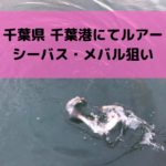 【2018年11月】千葉港でルアー釣り シーバス・ヒラメ・メバル狙い【アジング・メバリングで賑わう】