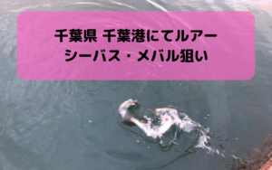 【2018年11月】千葉港でルアー釣り シーバス・ヒラメ・メバル狙い【アジング・メバリングで賑わう】