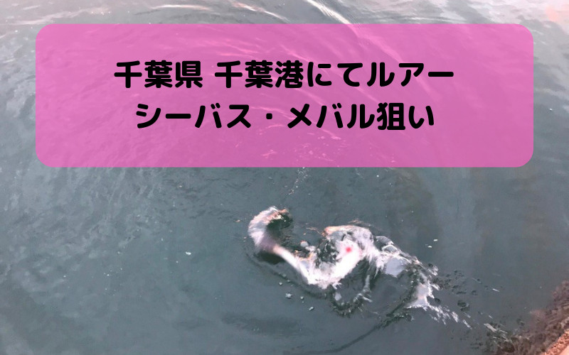 【2018年11月】千葉港でルアー釣り　シーバス・ヒラメ・メバル狙い【アジング・メバリングで賑わう】