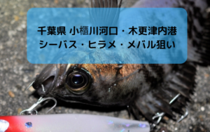 【2018年11月】千葉県 小櫃川河口と木更津内港でヒラメ・シーバス・メバル釣り