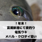 【2018年12月】千葉県 富浦新港で夜釣り 電気ウキでメバル・シーバス・ヒラメ・クロダイ狙い