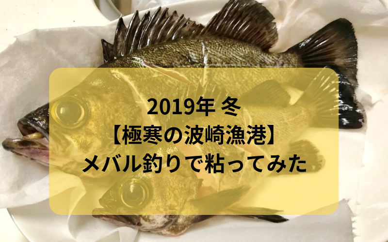 19年 冬 いまだにワラサ イナダとかの青物が釣れるらしい波崎漁港で電気ウキ釣り メバル シーバス狙い シアターカミカゼ