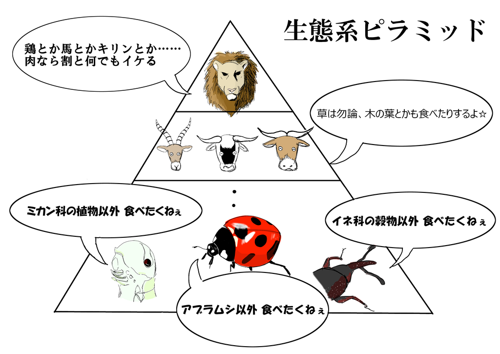 【ヒトヒフバエの幼虫を自分の体で飼育した男】探検昆虫学者 西田賢治さんの凄み シアターカミカゼ