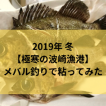 【2019年 冬】いまだにワラサ、イナダとかの青物が釣れるらしい波崎漁港で電気ウキ釣り メバル・シーバス狙い