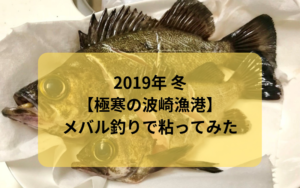 【2019年 冬】いまだにワラサ、イナダとかの青物が釣れるらしい波崎漁港で電気ウキ釣り メバル・シーバス狙い