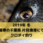 【夜メバルが好調！】2020年 初冬 千葉県片貝漁港で疑似餌（パワーイソメ）釣り