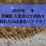【2019年 冬】茨城県 大洗港で夜釣り 餌・ルアーの二刀流でシーバス・ヒラメ・メバル・アジ狙い