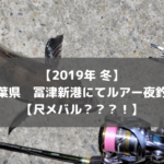 【尺メバル？！】2019年冬 千葉県 冨津新港・冨津北港でルアー・電気ウキ釣り シーバス・ヒラメ・メバル狙い