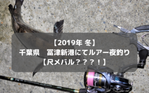 【尺メバル？！】2019年冬 千葉県 冨津新港・冨津北港でルアー・電気ウキ釣り シーバス・ヒラメ・メバル狙い