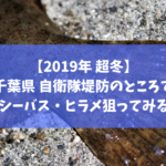 【2019年冬】千葉県 館山市の自衛隊堤防でルアー釣り シーバス・ヒラメ・クロダイ狙い