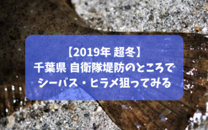 【2019年冬】千葉県 館山市の自衛隊堤防でルアー釣り シーバス・ヒラメ・クロダイ狙い