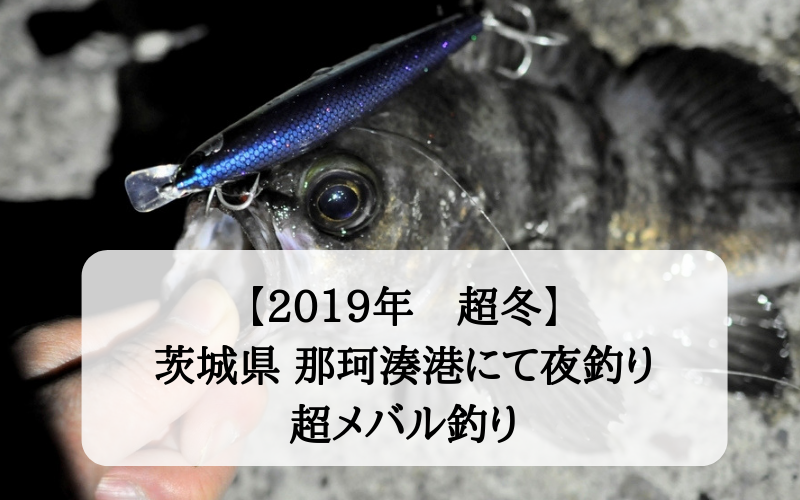 【極寒でも】2019年真冬 那珂湊港で夜釣り ルアーで狙うヒラメ・メバル・シーバス【大メバル】