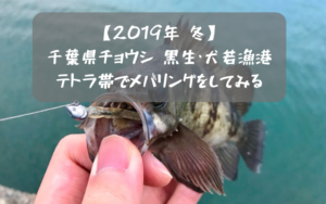 【2019年 冬】銚子 黒生漁港と犬若漁港のテトラで穴釣り メバル・クロダイ狙い