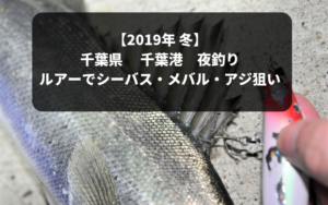 19年 冬 千葉県千葉港で夜釣り シーバス メバル アジ狙い シアターカミカゼ