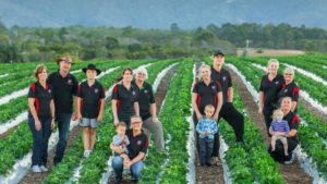 【オーストラリア ファーム 時給制＆高歩合】ブリスベン付近 ファームジョブ Schiffke Farm【No.1ファームジョブ】