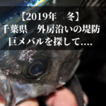 【2019年 冬】千葉外房で釣り メバル・シーバス・ヒラメ狙い