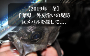【2019年 冬】千葉外房で釣り メバル・シーバス・ヒラメ狙い