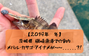 【2019年冬】茨城県 磯崎港で穴釣り&夜釣り メバル・カサゴ・アイナメ狙い
